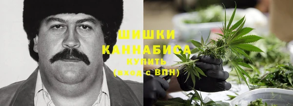 гидра Наволоки