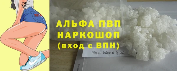 спиды Абаза