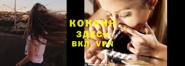 спиды Абаза