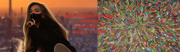 индика Абдулино